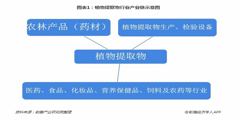 一文了解中國植物提取物產(chǎn)業(yè)鏈現(xiàn)狀 植物的小提